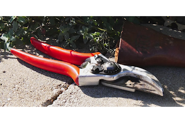Pruner 1