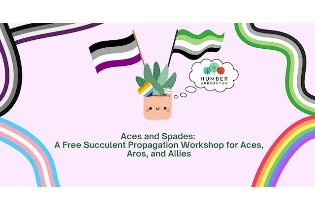 COPY Humber Etc Aces and Spades Banner (1920 x 1000 px)