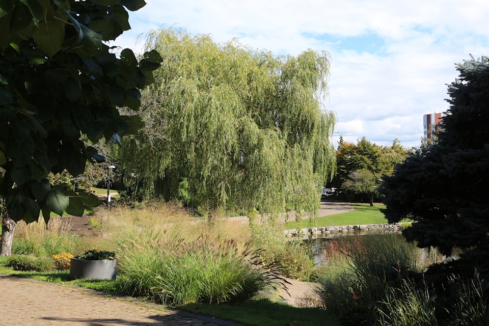 Landscape picture of Humber Arboretum. HumberETC/Isabella D'Angelo