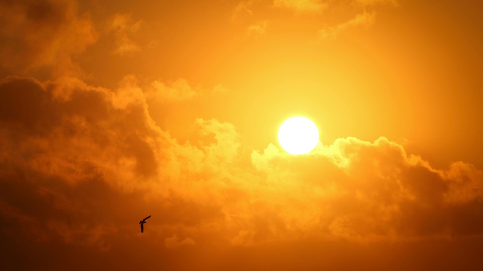 sun