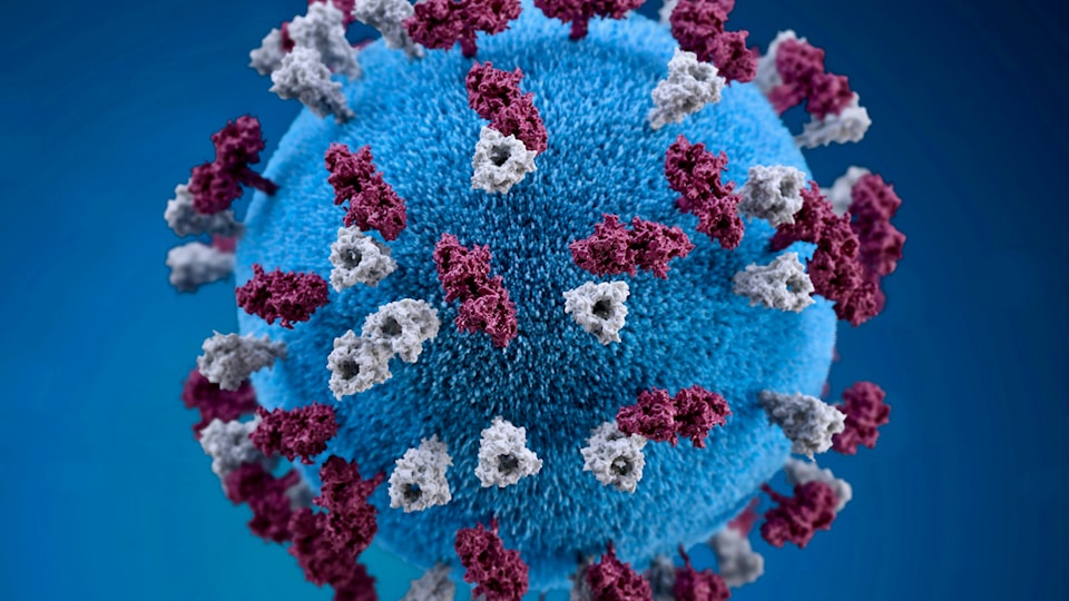 3d-representation-of-measles-virus