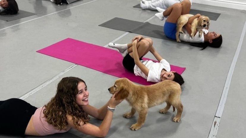 dogs-enjoying-yoga