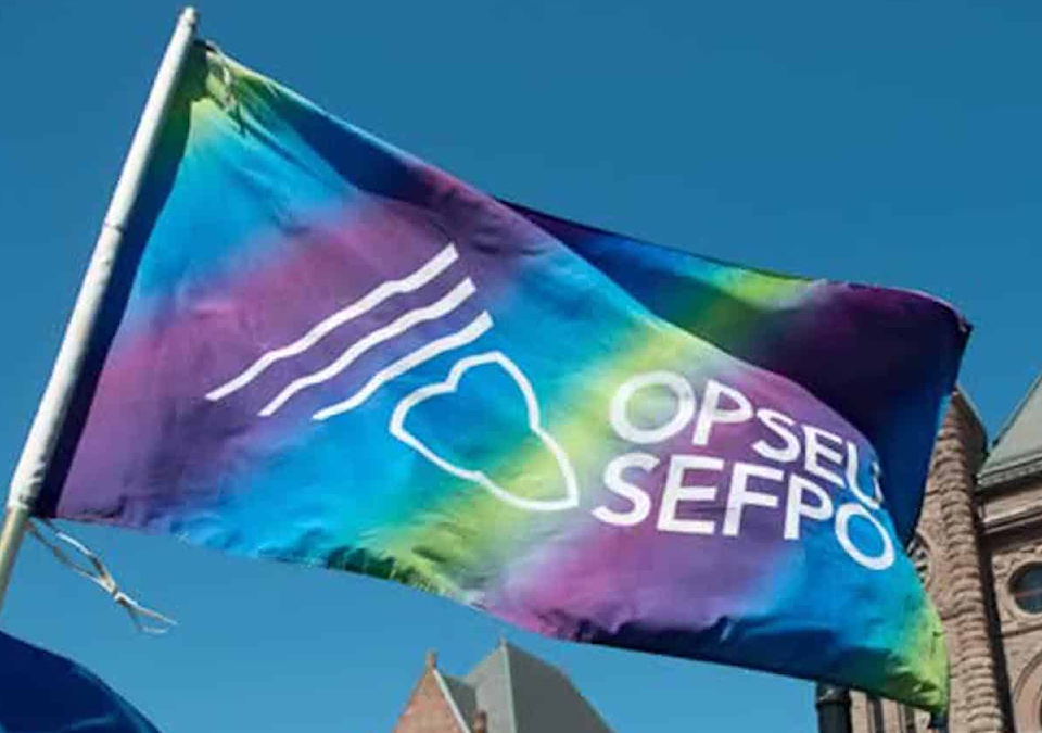 opseusefpo-flag