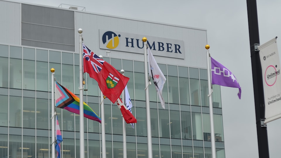 pride-flags-on-campus